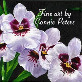 Connie Peters