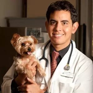 Oscar Chavez BVetMed MRCVS MBA