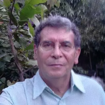 Luiz Martins da Silva