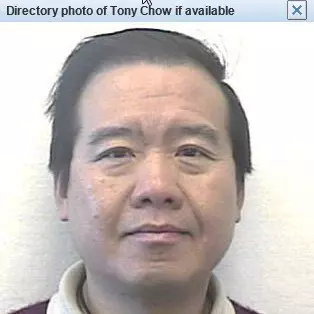 Tony Chow