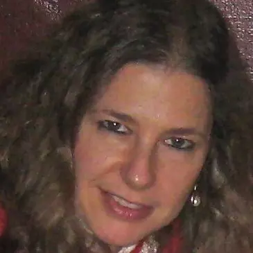 Evelyn K. Stein, LMHC.