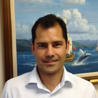 Yalcin Yavuz