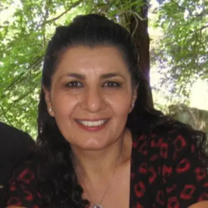 Parinaz Massoumzadeh, Ph.D.