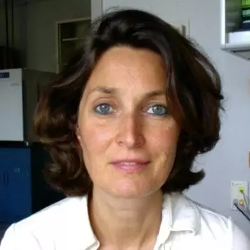 Christiane Rollenhagen