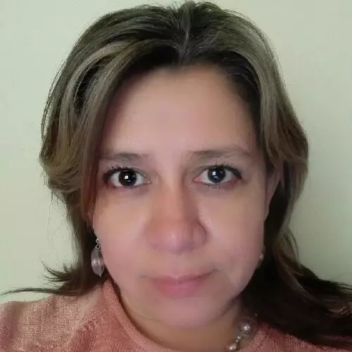 Wendy Castillo Zamora