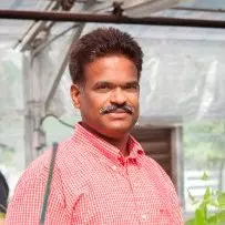 Sathya Elavarthi