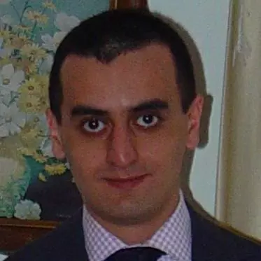 Seyed Ali Alavian