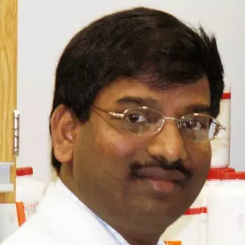 Ramesh Balusu, Ph.D.