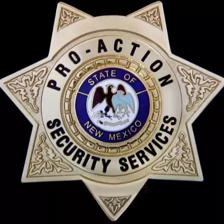 Pro-Action Security Services LLC