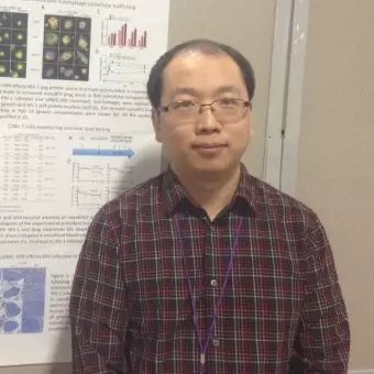 Gang Zhang DMD, PhD
