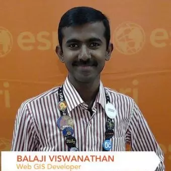 Balaji Viswanathan