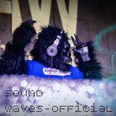 SoUnD WaVeS-official