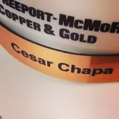 Cesar N. Chapa