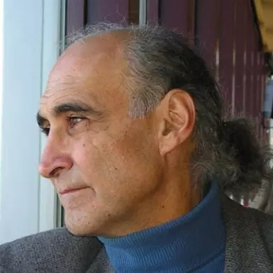 Kameel Nasr