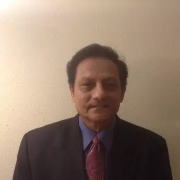 Shehzad Ansari