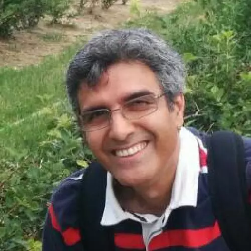 Babak Mehdipour