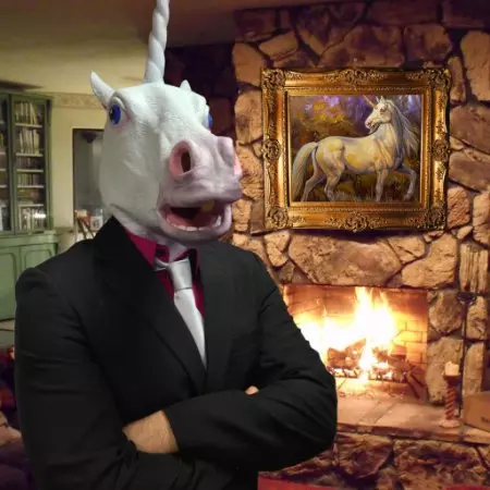 Bernie The Career Unicorn