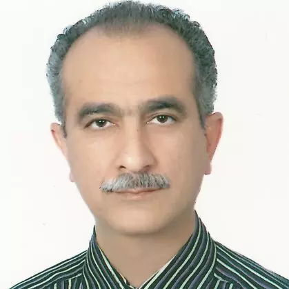 Mohammad H. MEHDIZADEH