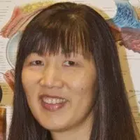 Cynthia Yin