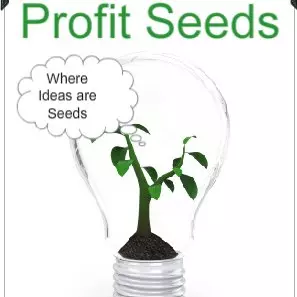 Revenue Consultant Profit Seeds for Hotelier's