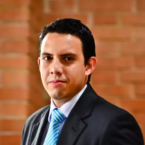 Luis Pedro Mendia