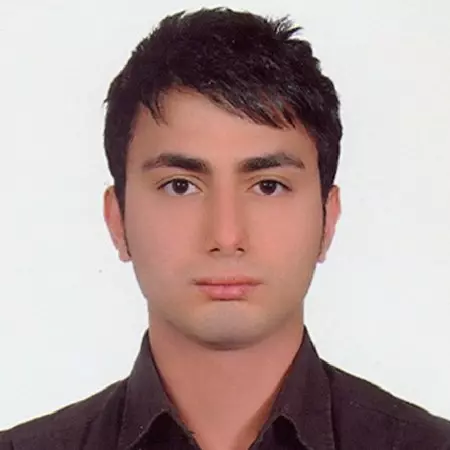 Reza Hosseini Teshnizi
