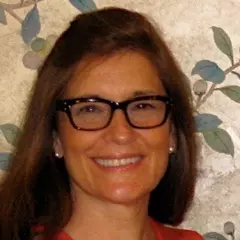 susan finesman