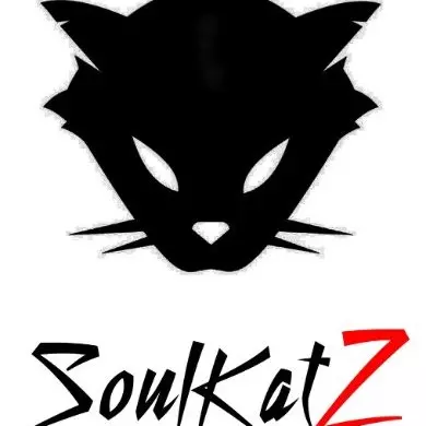 SoulKatz Music Group Inc. (Aaron aka Boogie)