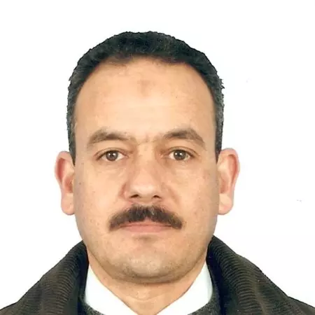 Ali Lahwal