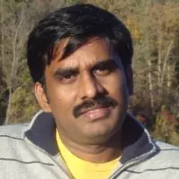 Krishna Karthik Puttagunta