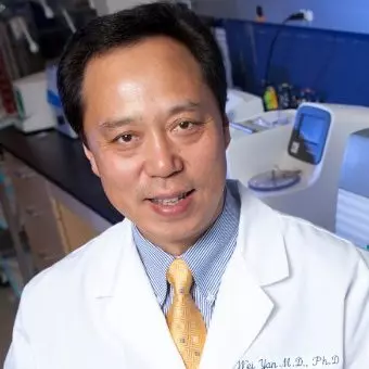 Wei Yan M.D., Ph.D.