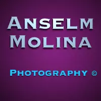 Anselm Molina