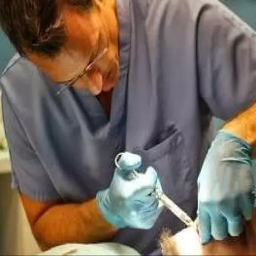 Eric Schuetz Dentist