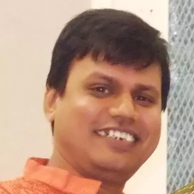 Neeladri Sekhar Roy
