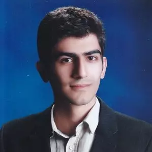 Seyed Mohammad Farzaneh