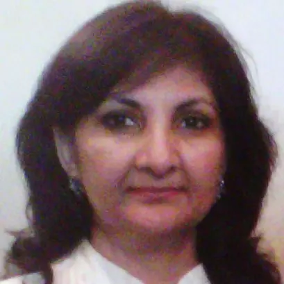 Hina Siddiqi