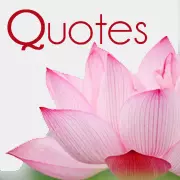 Quotes For You