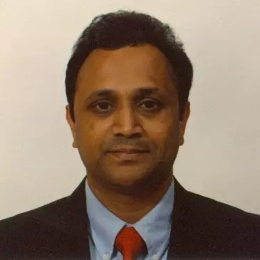 Krishna Gorjilla