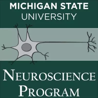MSU Neuroscience Program