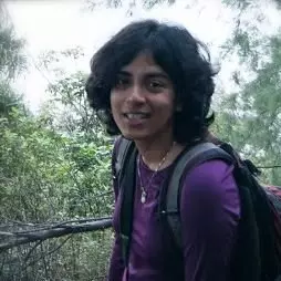 Rohini Bala Chandran