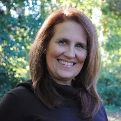 Judy Stein