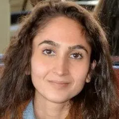Mina Azarnoush
