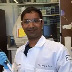 Vijay Gupta, Ph.D.
