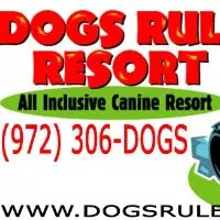 Dogs Resort