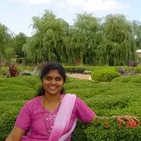 Bhargavi Chintapalli