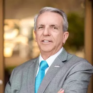 Luis F Navarro