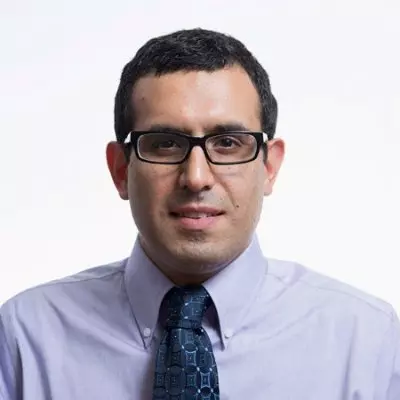 Arash D. Banadaki, PhD, P.E.