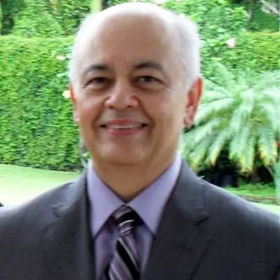 Pedro F Bravo