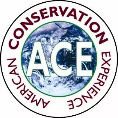 ACE Emerging Professionals Internship Corps